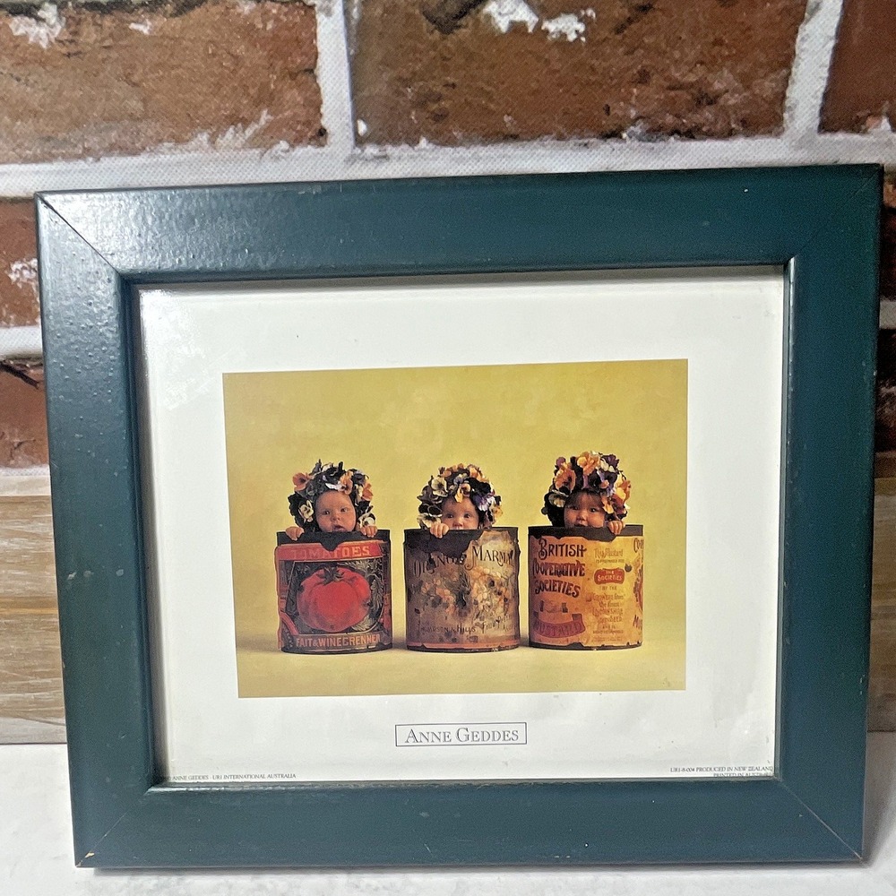 Anne Geddes Frames Picture Babies in Bags
